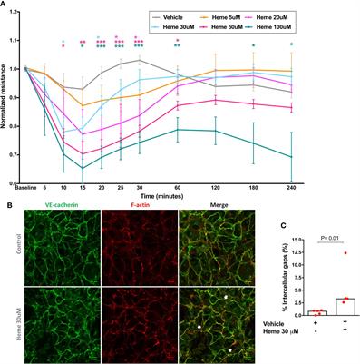 Endothelial Barrier Integrity Is Disrupted In Vitro by Heme and by Serum From Sickle Cell Disease Patients